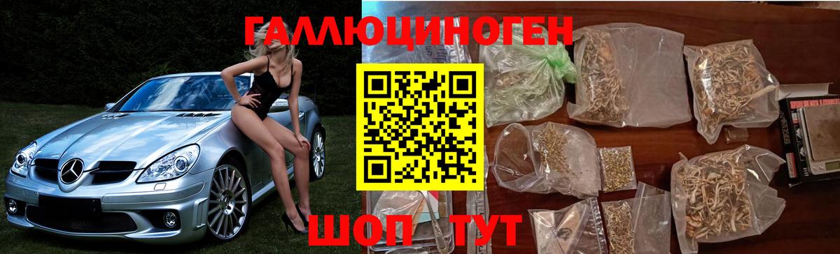Псилоцибиновые грибы мицелий Гурьевск