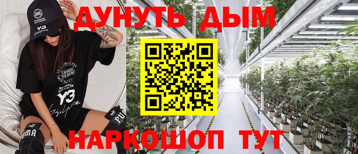 Марихуана конопля Гурьевск